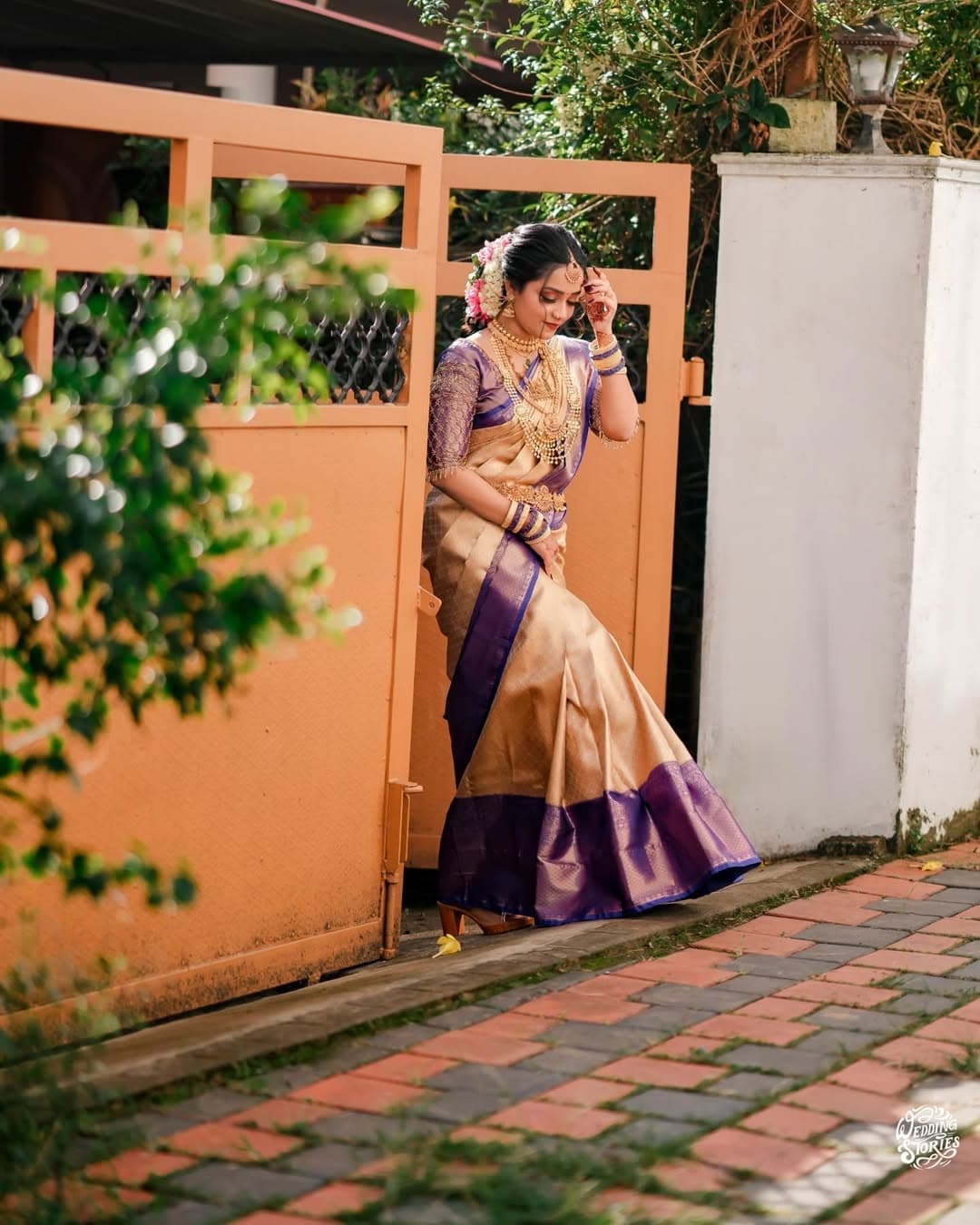 Purple Gold Kanjivaram Festive — close drape
